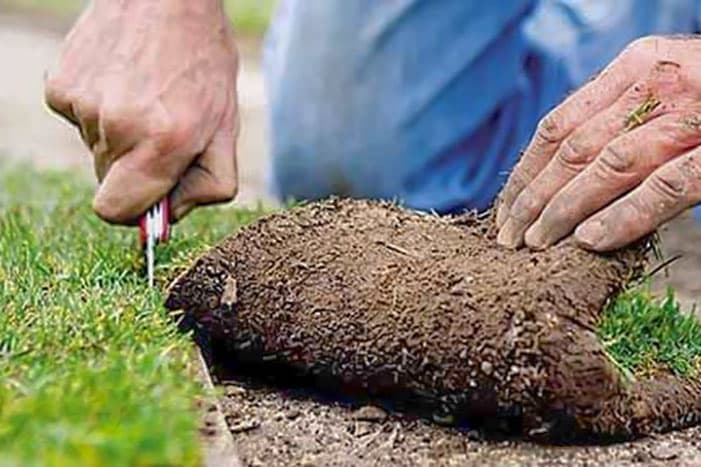 How do you select the right type of turf?