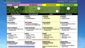 Greenacres turf comparison chart