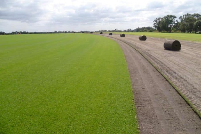 Greenacres jumbo roll installation – The original and best