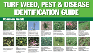 Bayer – Turf Weed, Pest & Disease Identification Guide