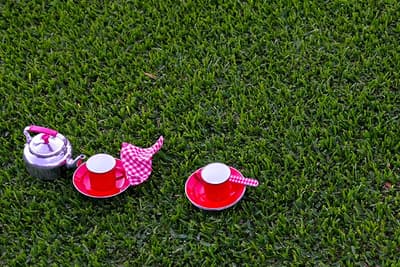 Win $500 Roll-on Lawn Credit