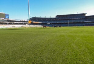 Stadium Blend lawn installation at Domain Stadium Perth