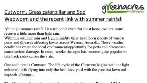 6 Pests – Recent summer rainfall