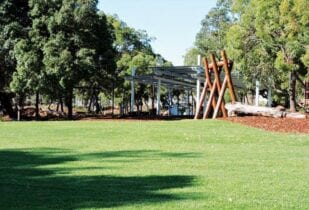 Sir Walter lawn