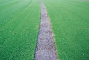 Village Green lawn