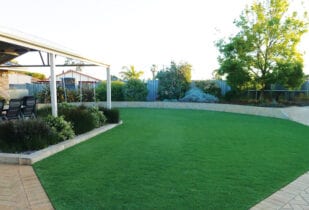 Wintergreen Lawn