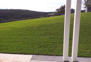 Palmetto lawn Yarloop