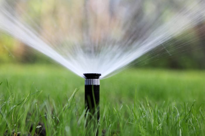 Lawn Stress during Hot and Windy weather