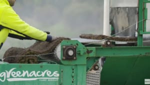 Triple Turf Washer